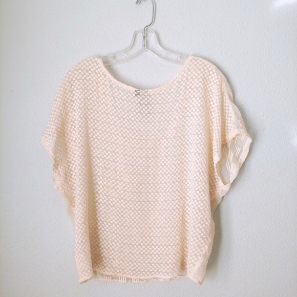 Embroidered Pure Silk Sheer Top - Picture 7 of 11